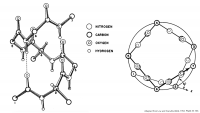 Pi-helix structure published by Barbara Low in 1953